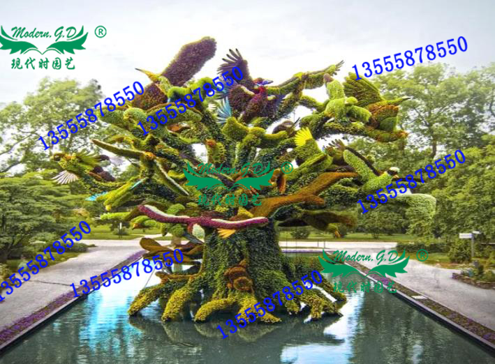 зG<br/>